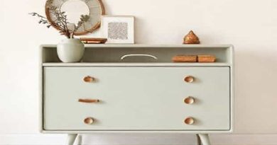 Lollygag Antiques & Boutique Reviews