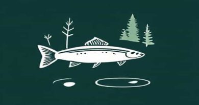 Maine Inland Fisheries And Wildlife