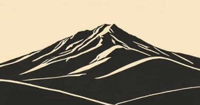 Mancera Cedrat Boise Intense