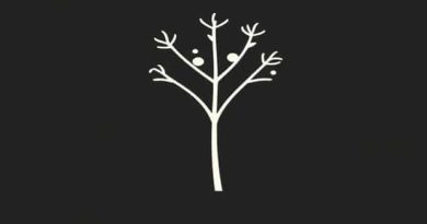 Meaning Of Fennel Seeds