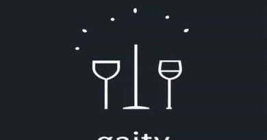 Meaning Of Gaiety In English Language