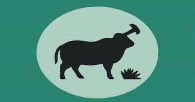 Meaning Of Knacker In Ireland