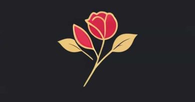 Meaning Of La Vie En Rose