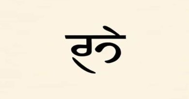 Meaning Of Perseverance In Hindi