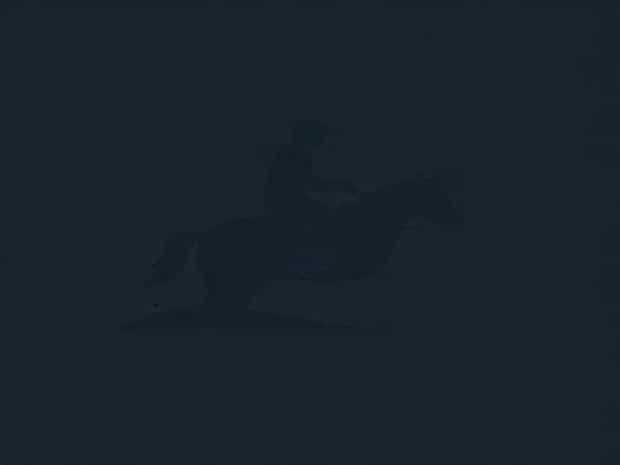 Meaning Of Riding Roughshod Over