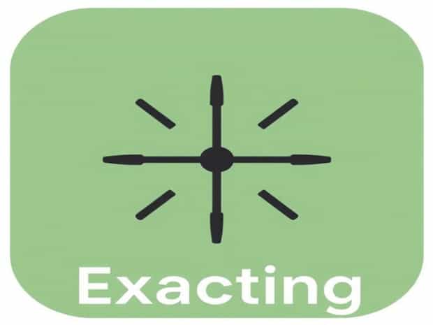 Meaning Of The Word Exacting