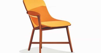 Mid Century Bentwood Chair