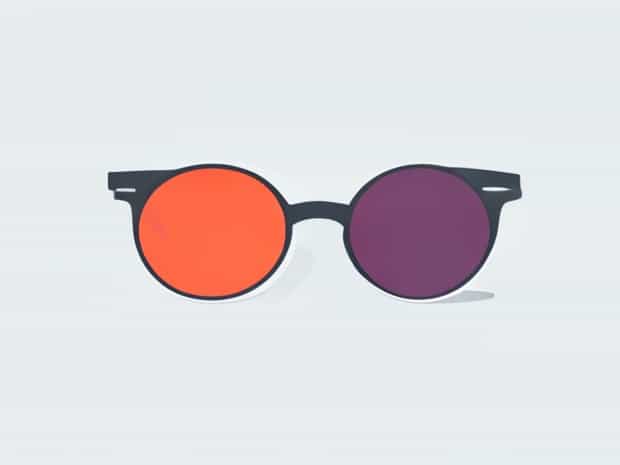 What Does Bifocal Mean