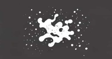 What Does Froths Mean