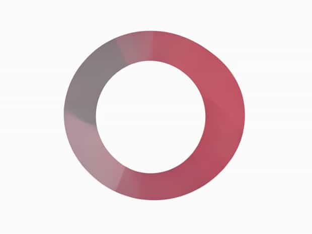 What Does Lucidity Mean