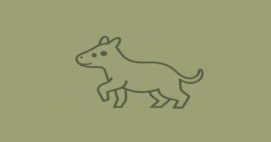 What Does Mudslinger Mean