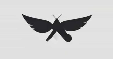 What Does Mutineer Mean