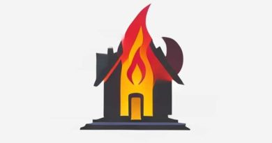 A House Of Flame And Shadow Paperback