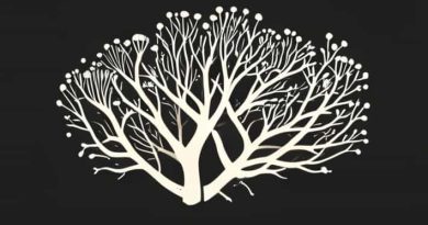 A Mycelium Is An Interwoven Mat Of