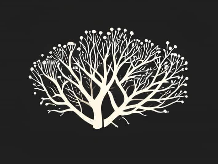 A Mycelium Is An Interwoven Mat Of