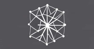 A Plexus Is A Unified Interwoven Network