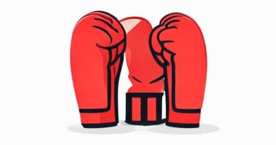 Adidas Mma Sparring Gloves