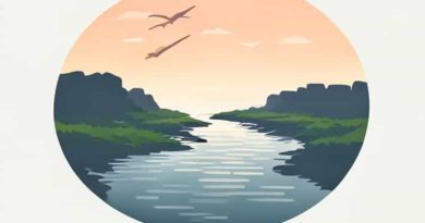 An Estuary Is A Transitional Zone Representing