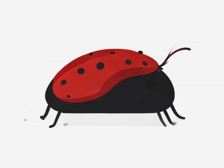 Bed Bug What Does It Look Like