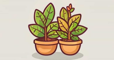 Best Way To Mutate Plants Cookie Clicker