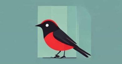 Bird That Sounds Like A Creaky Door