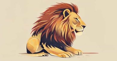 Caring For Your Lion By Tammi Sauer