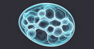 Chondrocytes Are To Cartilage As Osteocytes Are To