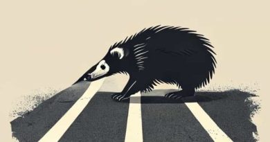Dead Skunk In The Middle Of The Road