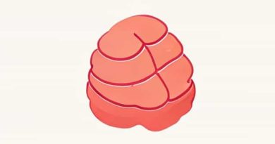 Diagram Of Adipose Tissue