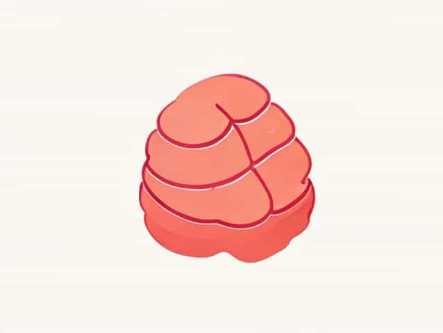 Diagram Of Adipose Tissue