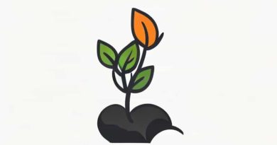 Diagram Of Germination Of Seed Class 5