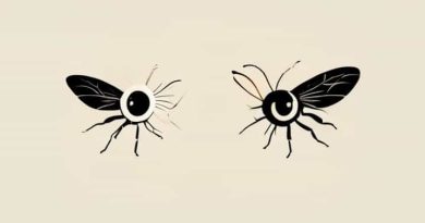 Difference Between Apposition And Superposition Eyes In Insects