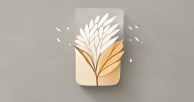 Donde Comprar Papel De Arroz Comestible