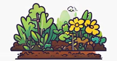 Easiest Way To Weed An Overgrown Garden