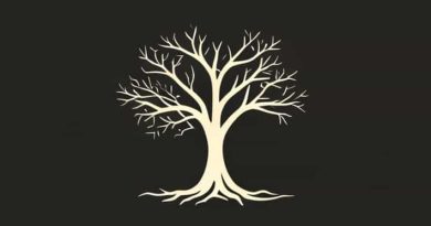 Elden Ring Shadow Of The Erdtree Playtime