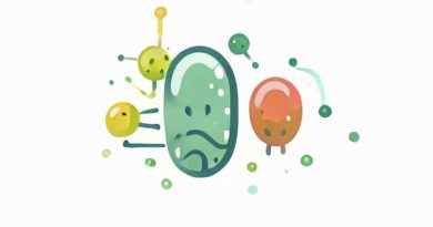 Euglenoids Can Predate On Smaller Organisms