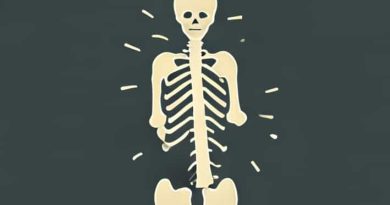 Explain How Osteoclasts And Osteoblasts Remodel Bone