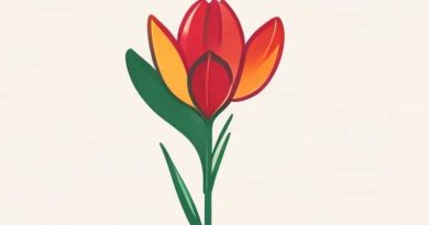 Flat For Sale In Orris Carnation Gurgaon