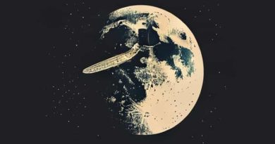 Fly Me To The Moon Rotten Tomatoes