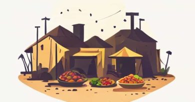 Food Riot At Refugee Camp In Darfur