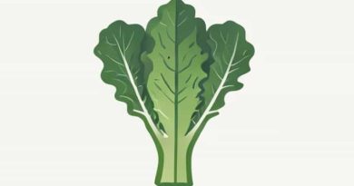 Genus Of Plants That Includes Cabbage And Swede