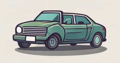 Get Rid Of Musty Smell In Car