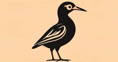 Het Lied Van Ooievaar En Dromedaris