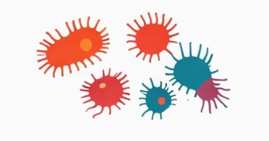 How Are Flagellate Protists Different From Ciliate Protists