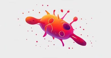 How Do Macrophages Know What To Engulf