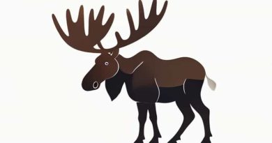 How Much Does A Moose Weigh