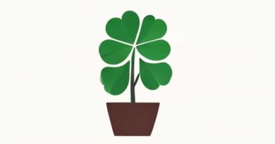 How To Care For A Shamrock Plant