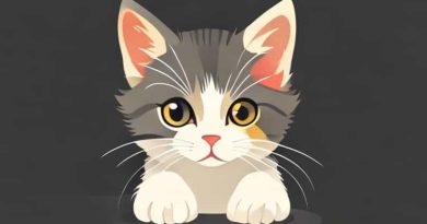 How To Make A Kitten Less Skittish