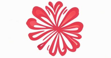 How To Use Frippery In A Sentence