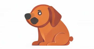 How To Use Hangdog In A Sentence